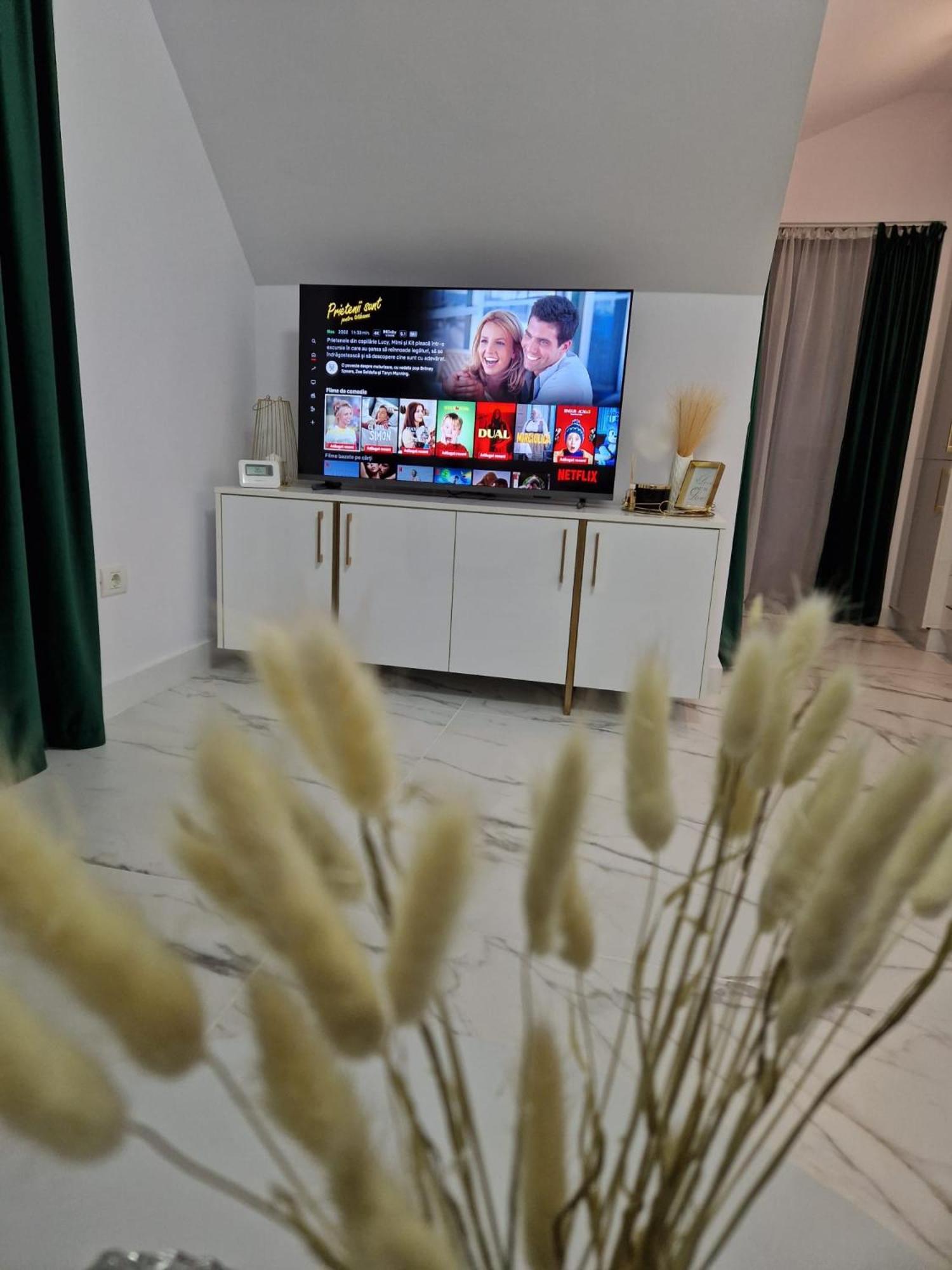 Gold Tag Apartament ทิมิชัวรา ภายนอก รูปภาพ