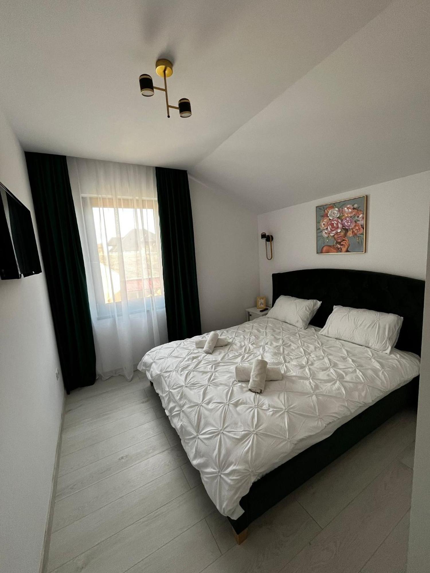 Gold Tag Apartament ทิมิชัวรา ภายนอก รูปภาพ
